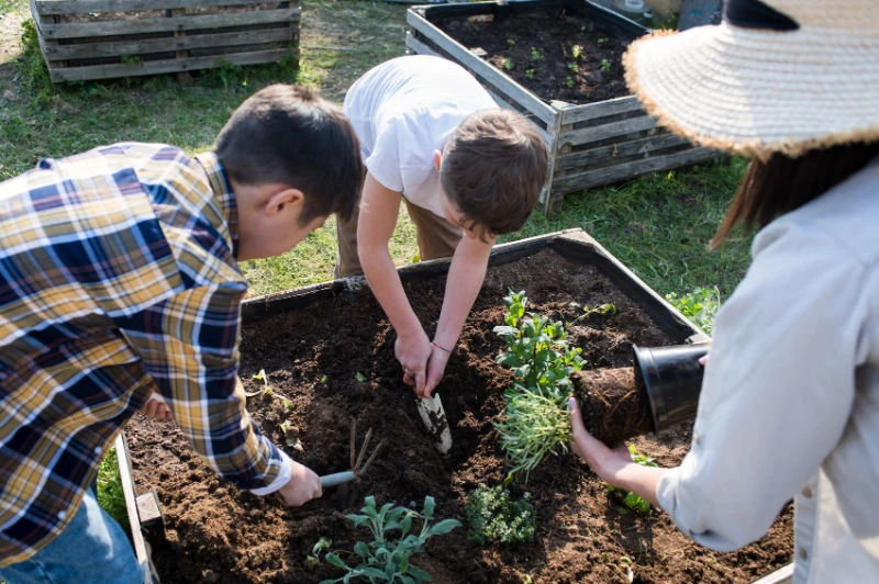 Kinder arbeiten gemeinsam im Hochbeet